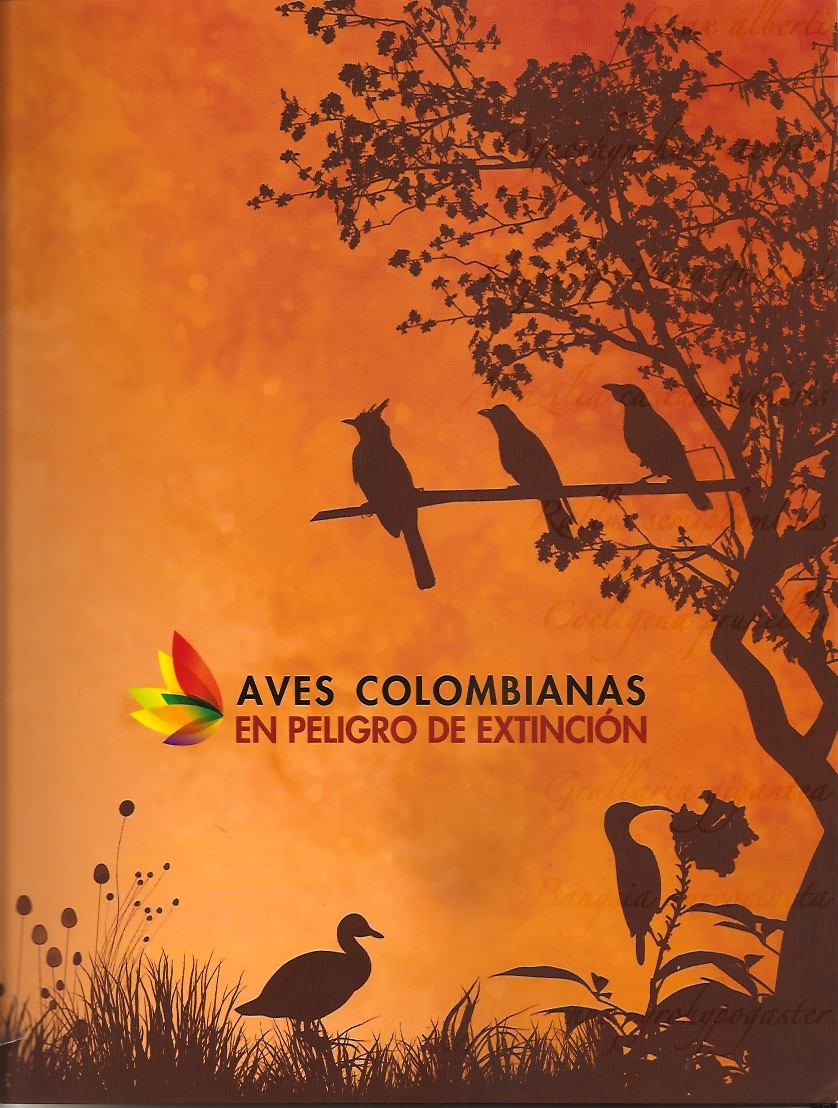 Biodiversidad De Las Aves En Colombia